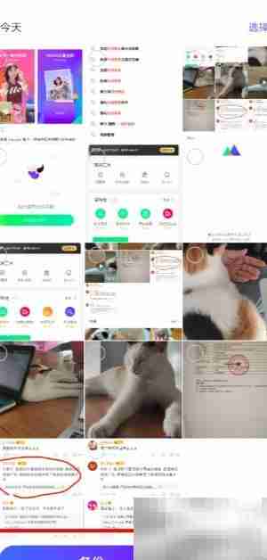 免费好用的照片备份软件推荐