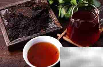 生普与熟普功效大不同