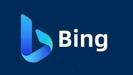 Bing浏览器下载路径设置教程