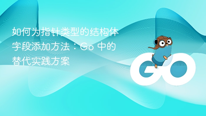 如何为指针类型的结构体字段添加方法：Go 中的替代实践方案
