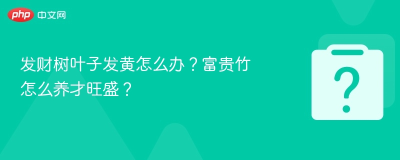 发财树叶子发黄怎么办?富贵竹怎么养才旺盛?
