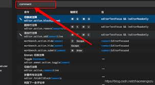 VSCode行注释快捷键使用教程