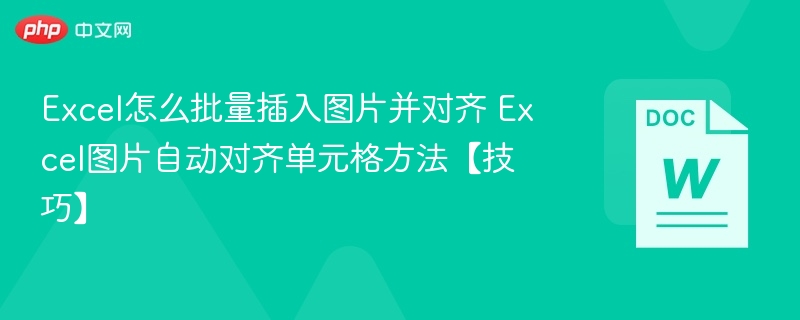 Excel怎么批量插入图片并对齐 Excel图片自动对齐单元格方法【技巧】
