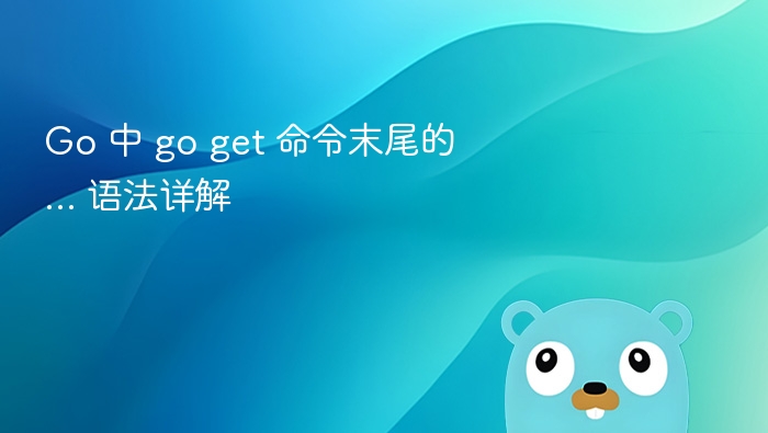 Go 中 go get 命令末尾的 ... 语法详解
