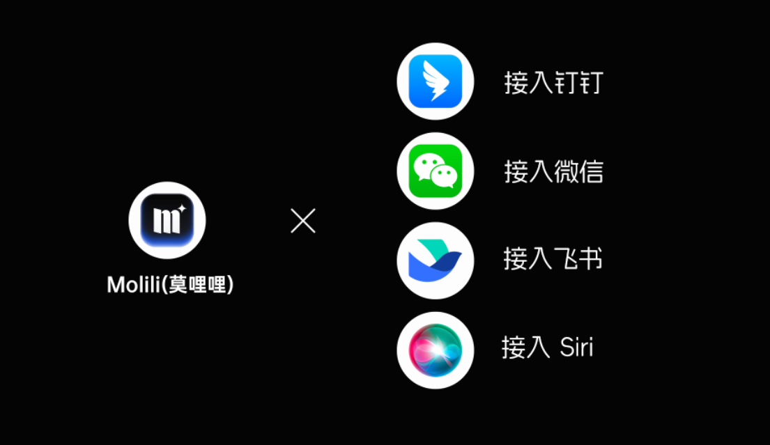 Molili更新自定义添加大模型，灵活适配多元使用场景