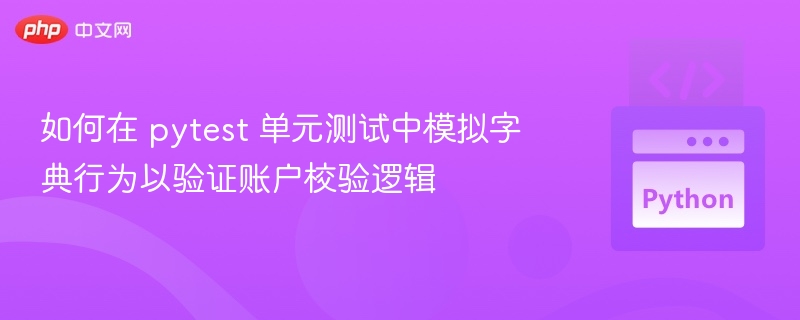 如何在 pytest 单元测试中模拟字典行为以验证账户校验逻辑

