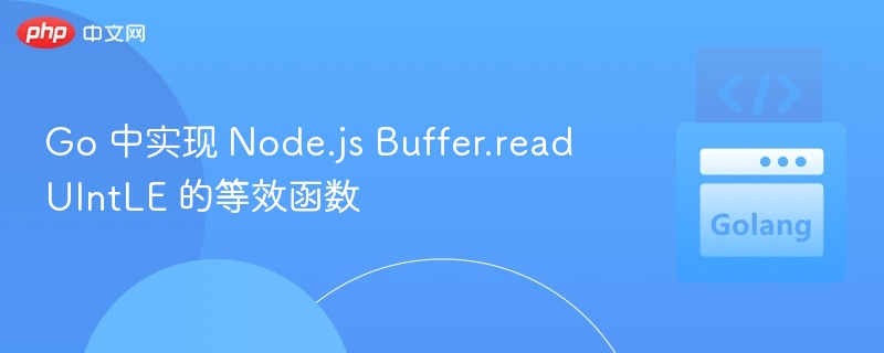 Go 中实现 Node.js Buffer.readUIntLE 的等效函数
