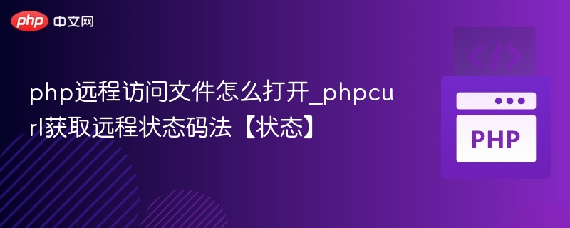 PHP远程访问文件方法：curl获取远程状态码详解