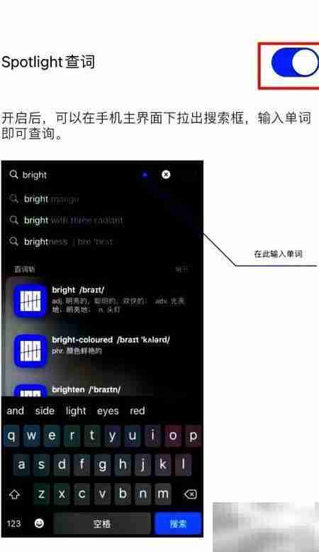百词斩关闭Spotlight查词