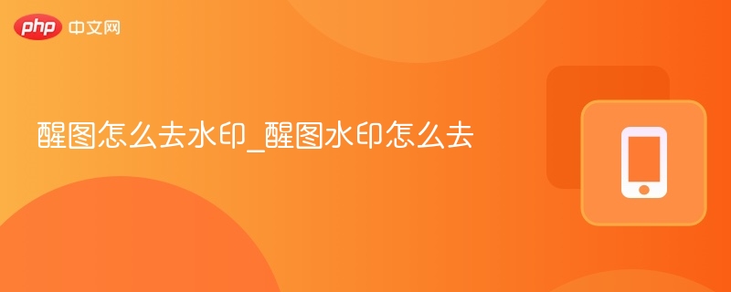 醒图怎么去水印_醒图水印怎么去