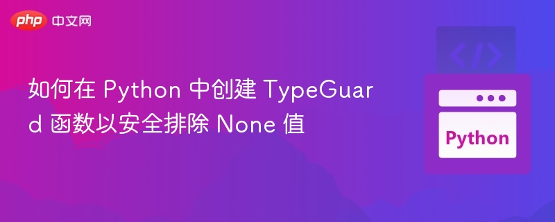 如何在 Python 中创建 TypeGuard 函数以安全排除 None 值
