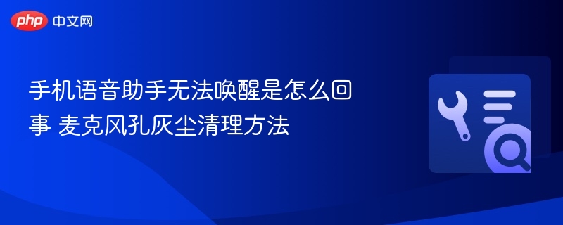 语音助手唤醒失败？麦克风清洁方法详解