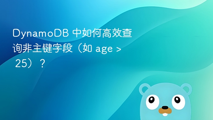 DynamoDB 中如何高效查询非主键字段（如 age > 25）？
