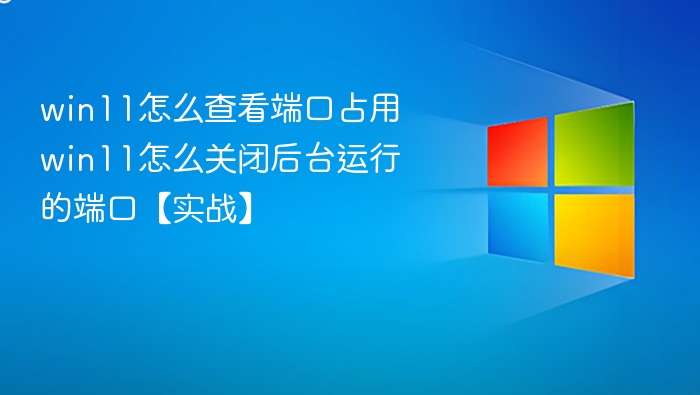 Win11查看端口占用与关闭教程
