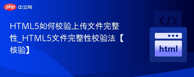HTML5文件校验技巧与验证方法