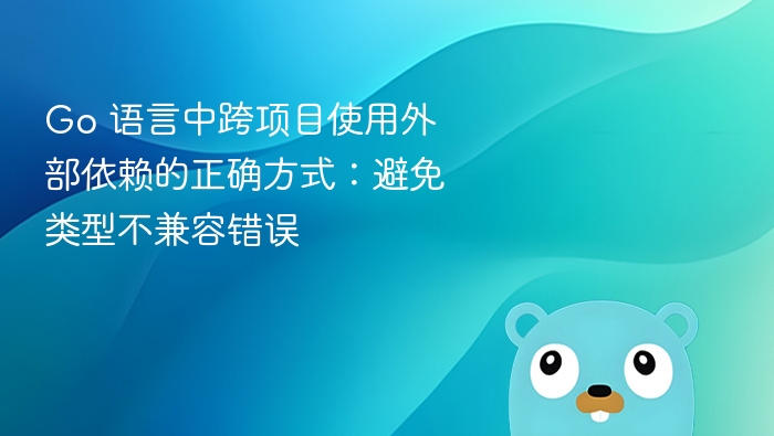 Go项目依赖管理与类型兼容技巧