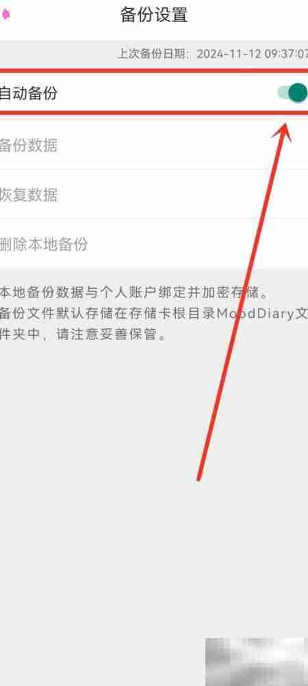 密码日记本自动备份开启指南
