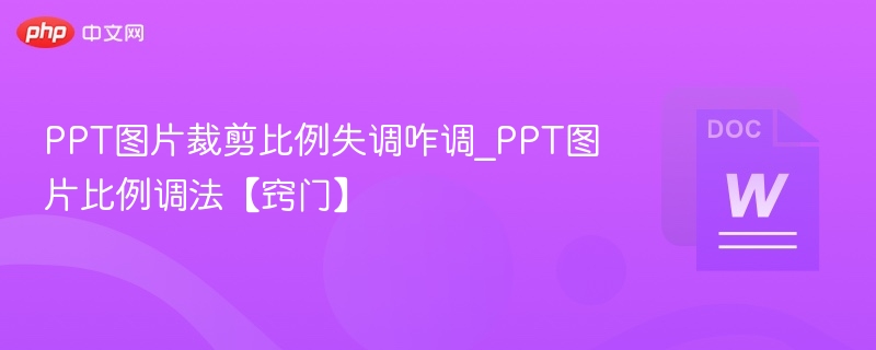 PPT图片比例失调怎么调？实用技巧分享