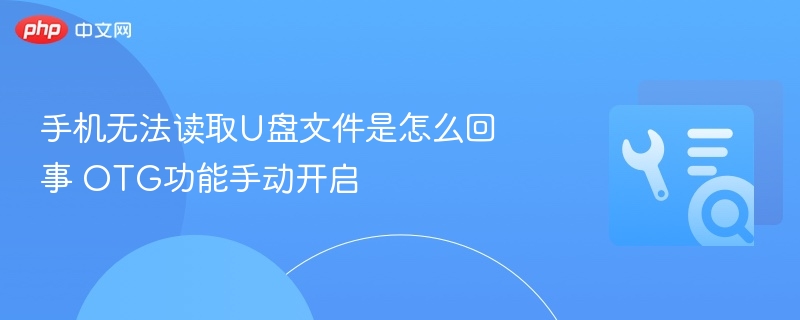 手机无法读取U盘文件是怎么回事 OTG功能手动开启