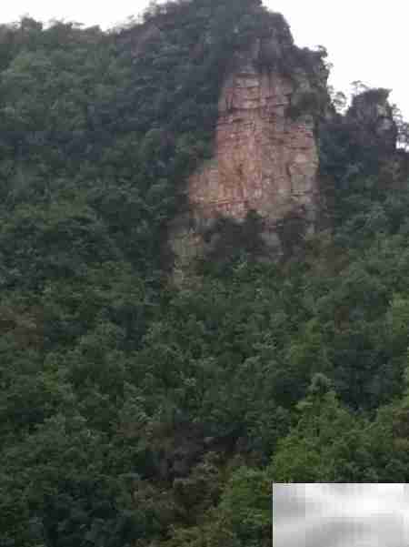 鸣凤村2018乡村游散记