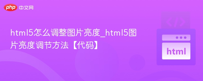 HTML5调整图片亮度的代码方法