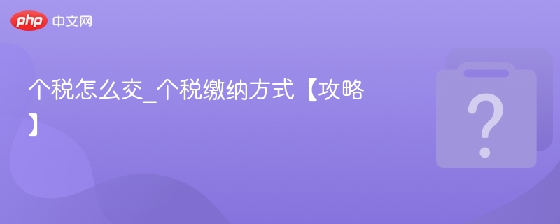 个税怎么交_个税缴纳方式【攻略】