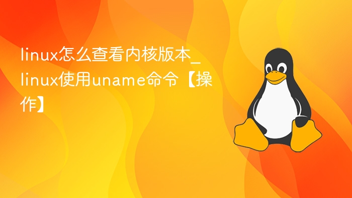 Linux系统内核版本查看方法
