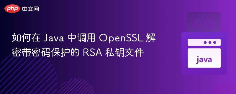 如何在 Java 中调用 OpenSSL 解密带密码保护的 RSA 私钥文件
