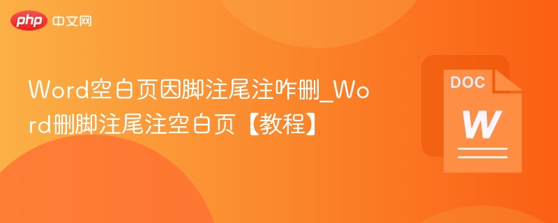 删除Word脚注尾注空白页方法