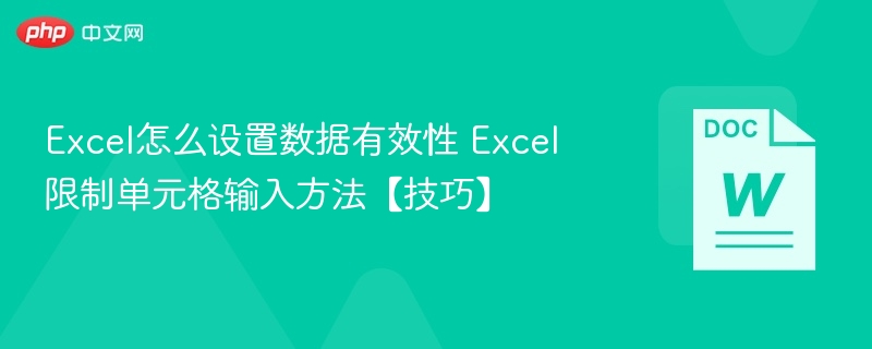 Excel数据有效性设置与输入限制技巧