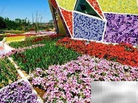 园林植物色彩搭配技巧详解