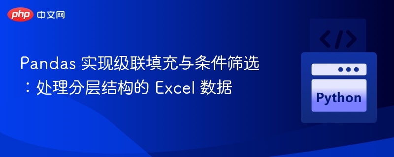 Pandas 实现级联填充与条件筛选：处理分层结构的 Excel 数据
