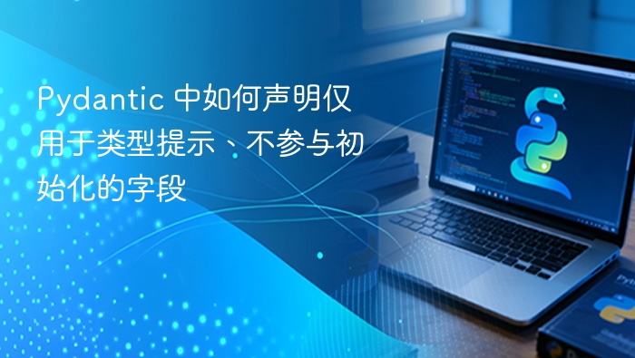 Pydantic 中如何声明仅用于类型提示、不参与初始化的字段

