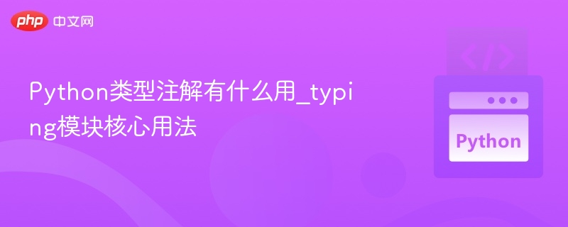 Python类型注解有什么用_typing模块核心用法