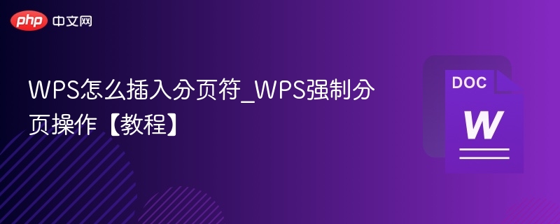 WPS怎么插入分页符_WPS强制分页操作【教程】