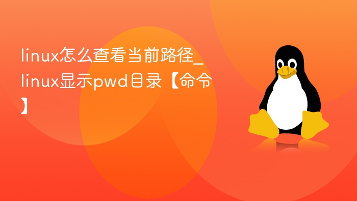 linux怎么查看当前路径_linux显示pwd目录【命令】