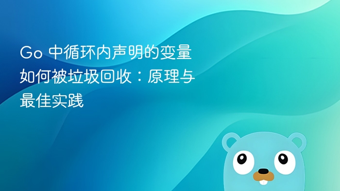Go循环变量回收优化技巧解析