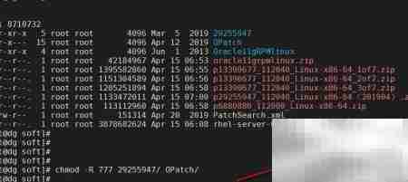 Oracle集群补丁实施指南