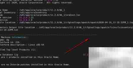 Oracle集群补丁实施指南