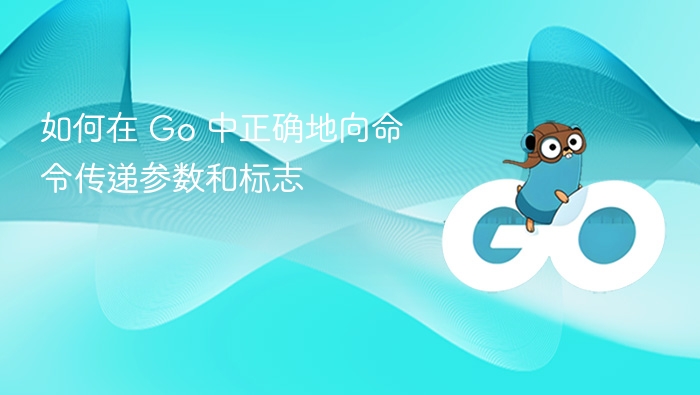 如何在 Go 中正确地向命令传递参数和标志
