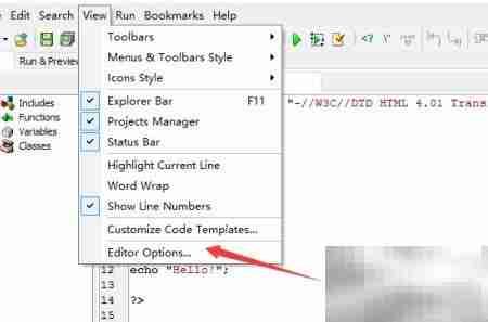 DzSoft PHP Editor关闭光标越界