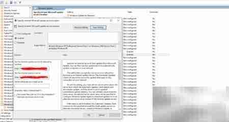 指定Windows更新地址