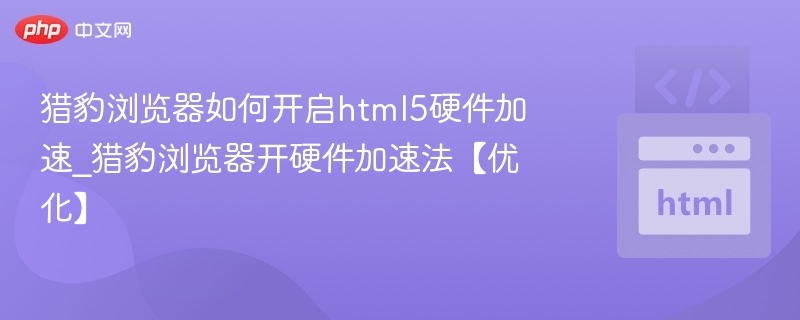 猎豹浏览器如何开启html5硬件加速_猎豹浏览器开硬件加速法【优化】