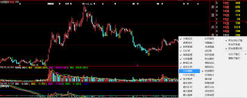 大智慧分时图怎么查看？