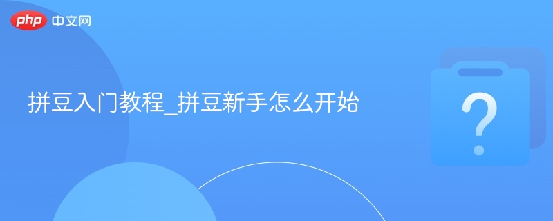 拼豆入门教程_拼豆新手怎么开始