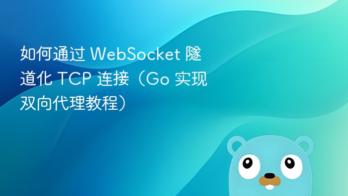 如何通过 WebSocket 隧道化 TCP 连接(Go 实现双向代理教程)
