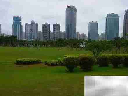 生态园林设计与营造技术