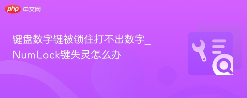 键盘数字键被锁住打不出数字_NumLock键失灵怎么办