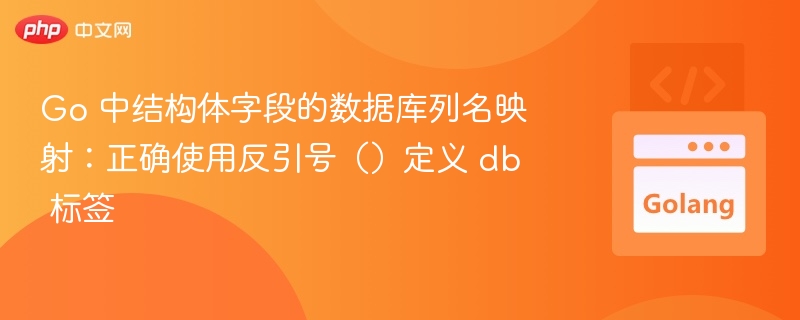 Go 结构体 db 标签正确用法