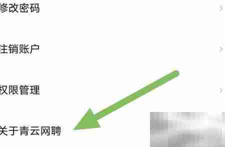 青云网聘客服邮箱查看方法